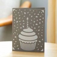 Cricut  Joy Insert Cards 12-pack Pastel